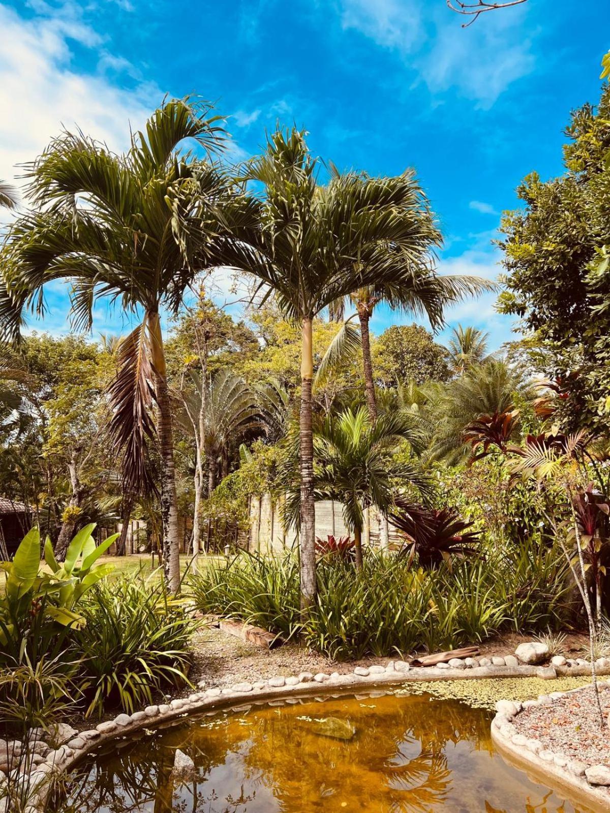 Pousada Jacaranda Trancoso Extérieur photo